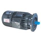 Inverter Moto